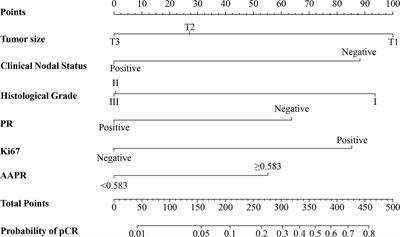 Construction and Validation of a Serum Albumin-to-Alkaline Phosphatase Ratio-Based Nomogram for Predicting Pathological Complete Response in Breast Cancer